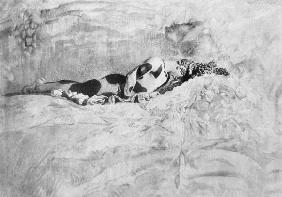 Portrait of Vaslav Nijinsky (1890-1950) (photo) 20th
