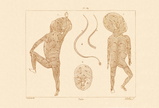 Body Hair von French School, (19th century)