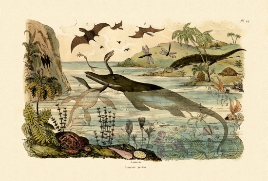 Prehistoric animals von French School, (19th century)