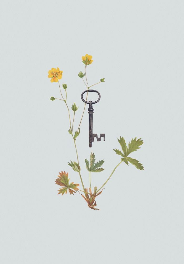 Botanischer Vintage-Schlüssel von Frida Floral Studio