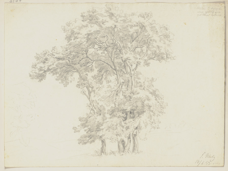Baumgruppe von Friedrich Metz