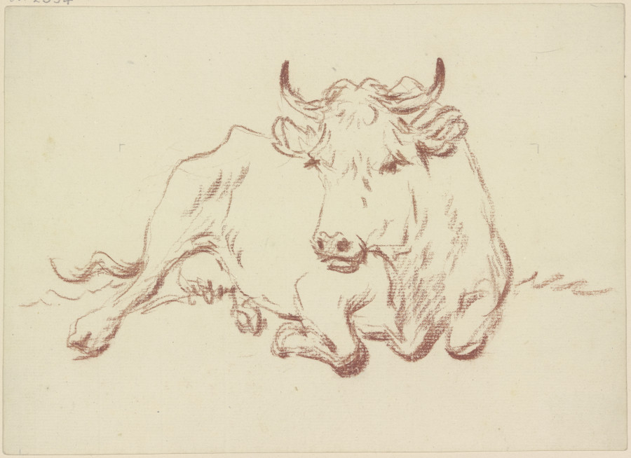 Liegende Kuh en face von Friedrich Wilhelm Hirt