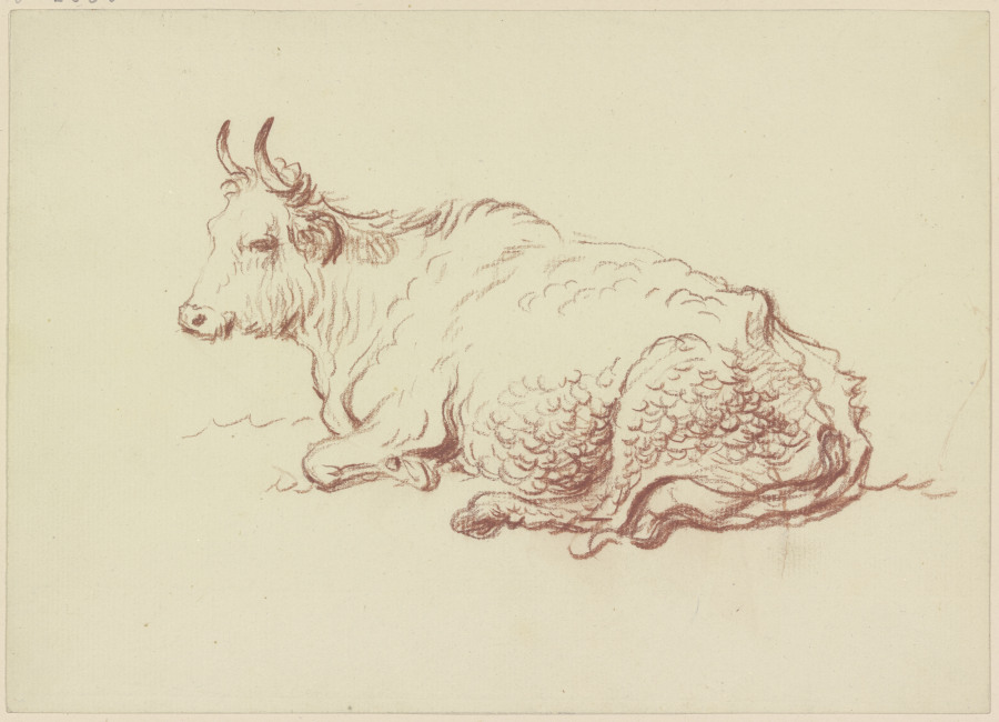 Liegende Kuh nach links von Friedrich Wilhelm Hirt