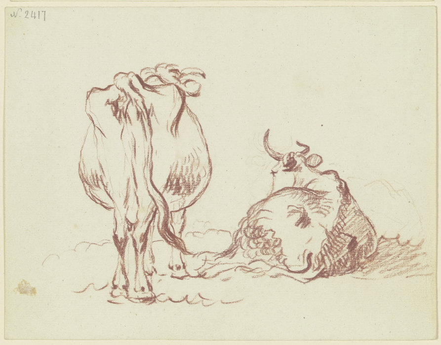 Zwei Rinder, eines stehend, eines liegend, beide rückansichtig, das liegende in starker Verkürzung von Friedrich Wilhelm Hirt
