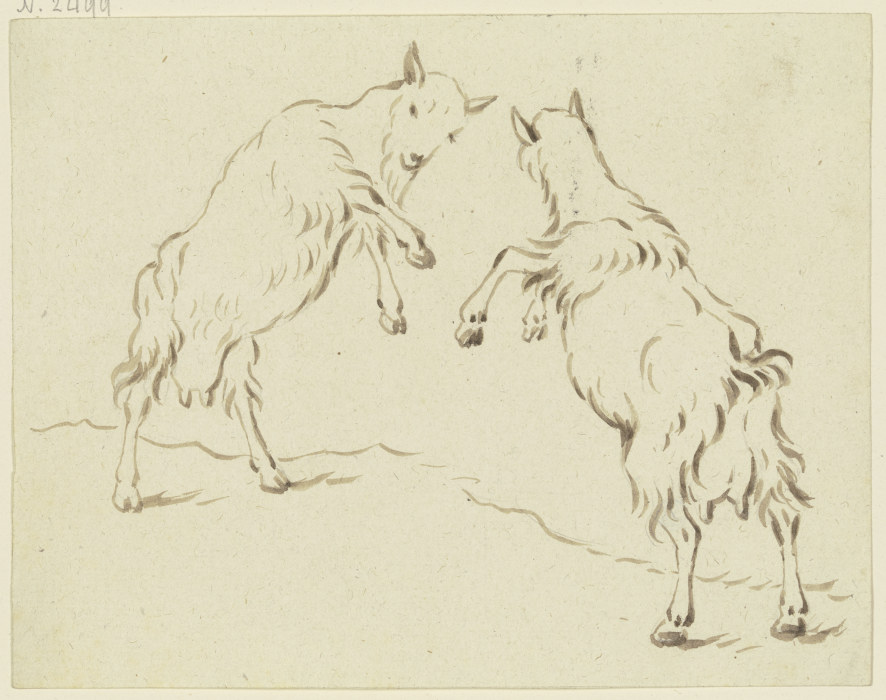 Zwei Ziegen, einander angreifend von Friedrich Wilhelm Hirt