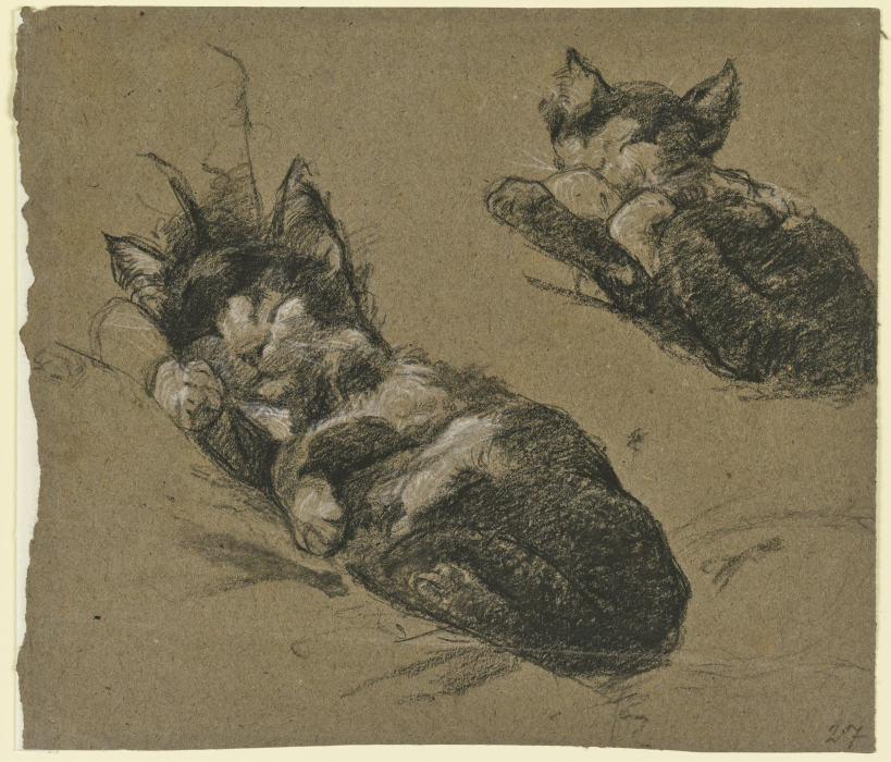 Studienblatt: Zwei Kätzchen von Fritz Boehle