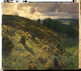 Eifelgold (Schleidener Tal in der Ginsterblüte) 1904