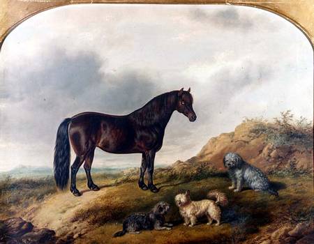 A Pony and three Terriers in a landscape von G. Jackson