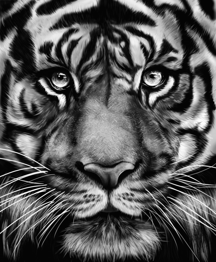 Tiger von Gabriella Roberg