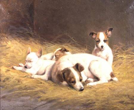 A Terrier with Three Puppies von Gabrielle Rainer-Istuanty