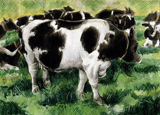 Friesian Cows (w/c)  von Gareth Lloyd  Ball