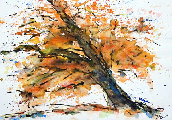 Flammender Herbstbaum von Hans-Jürgen Gaudeck