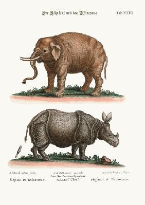 The Elephant and the Rhinoceros 1749-73