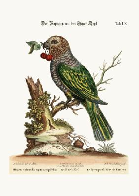 The Hawk-Headed Parrot 1749-73