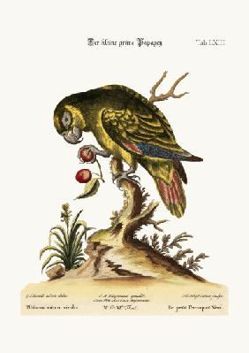 The Little Green Parrot 1749-73