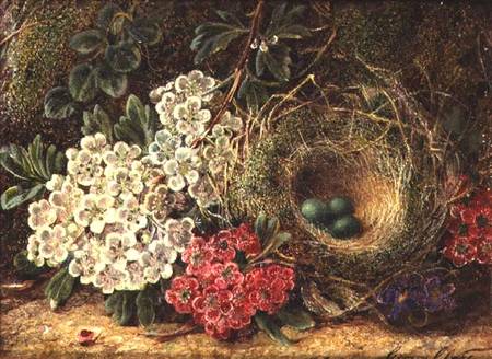 Still life with bird's nest von George Clare