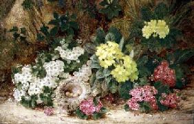 Still Life with Primroses