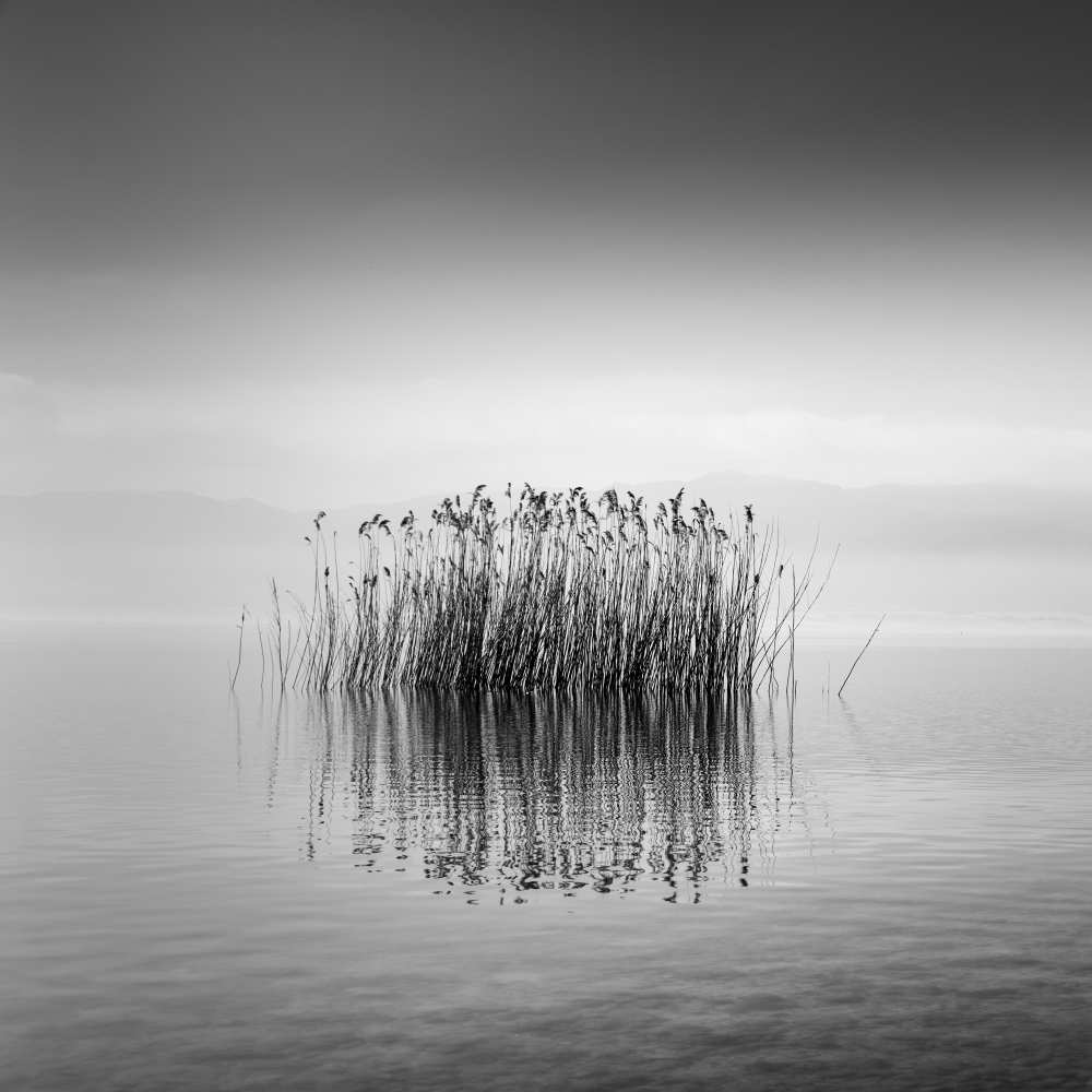 Lake Reflections von George Digalakis