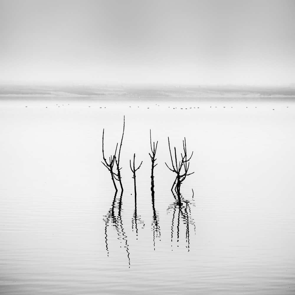Lake Reflections von George Digalakis