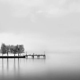 Pier with Trees (2)