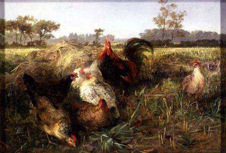 Fowls in the Stubble von George Hickin
