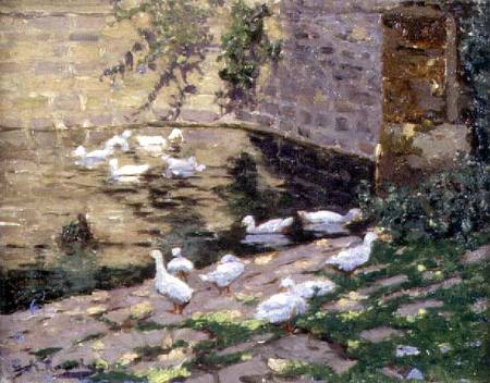 Ducks on a Pond von George Rosenberg