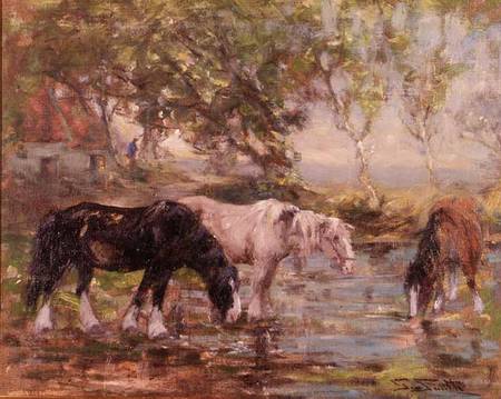 Horses at a Pool von George Smith