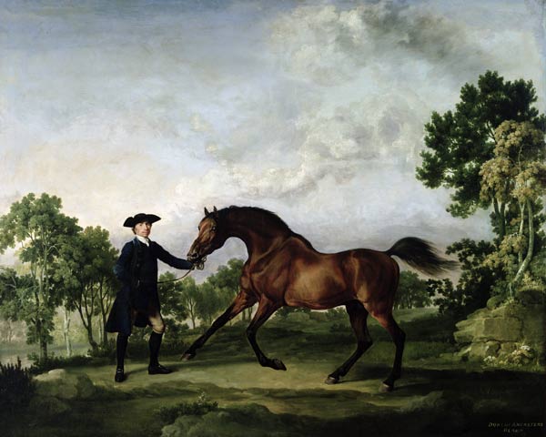 The Duke of Ancaster's bay stallion Blank, held by a groom, c.1762-5 von George Stubbs