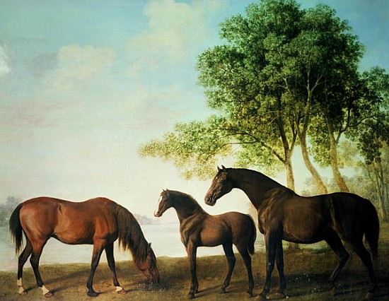 Shafto Mares and a Foal von George Stubbs