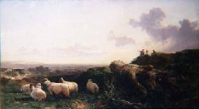 Evening on the South Downs 1867