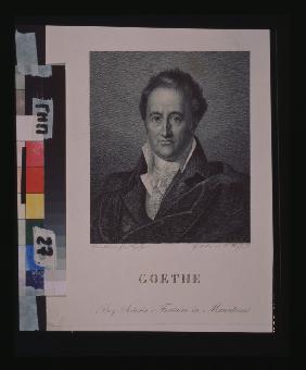 Porträt des Dichters Johann Wolfgang von Goethe (1749-1832)