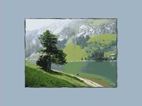 Schweiz Alpsee von Andreas Gerlach