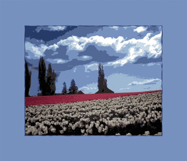 Tulpenfelder von Andreas Gerlach
