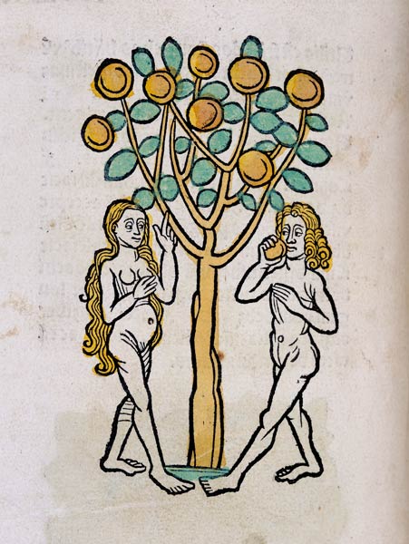 Adam and Eve under the Tree of life von German School