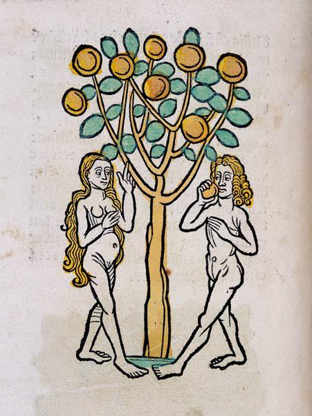 Adam and Eve under the Tree of life 1547