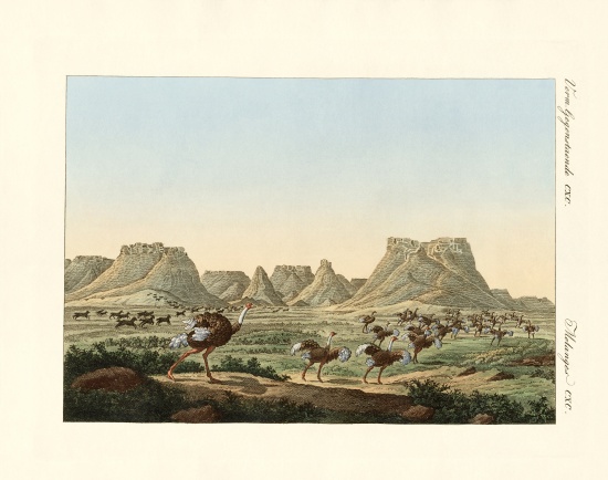 Area in South Africa at the forland of Good Hope von German School, (19th century)