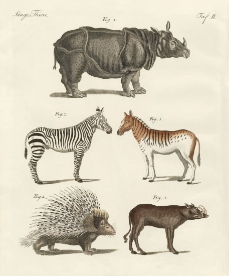 Four-footed animals von German School, (19th century)