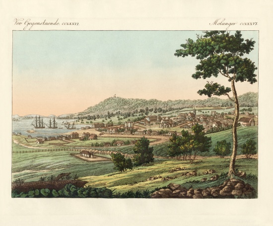 Hobart Town at Van Diemens Land von German School, (19th century)