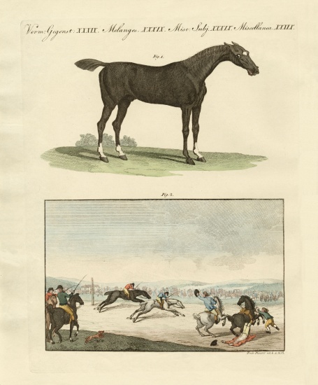 Horse races in England von German School, (19th century)