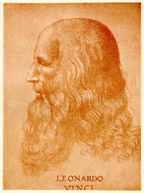 Leonardo da Vinci 1884-90