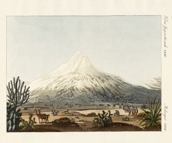 The Chimborazo in South America von German School, (19th century)