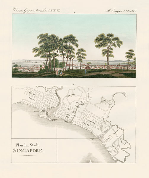 View and map of the East Indian establishment Singapore von German School, (19th century)