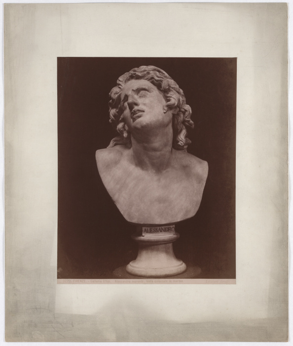 Firenze: Galleria Uffizi, Alessandro morente, testa colossale in marmo, No. 3223 von Giacomo Brogi