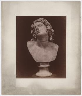 Firenze: Galleria Uffizi, Alessandro morente, testa colossale in marmo, No. 3223