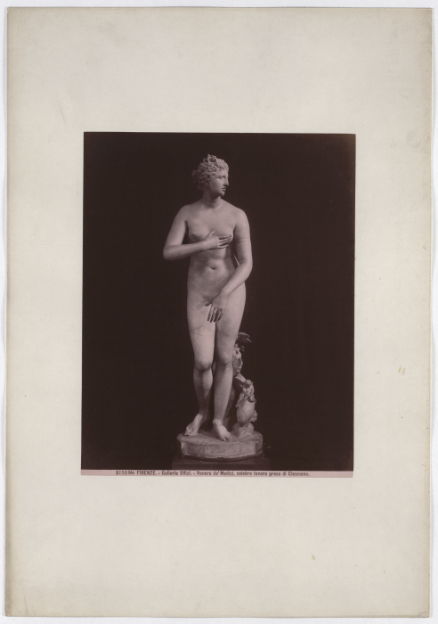Firenze: Venere deMedici, celebre lavoro greco di Cleomene, Galleria Uffizi, No. 3150 bis von Giacomo Brogi