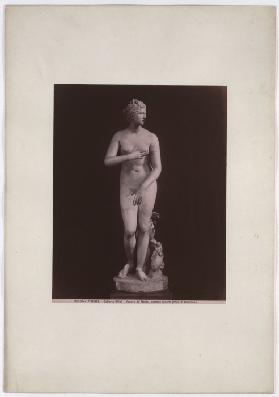 Firenze: Venere deMedici, celebre lavoro greco di Cleomene, Galleria Uffizi, No. 3150 bis