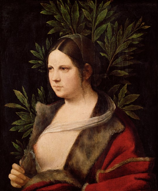 Bildnis einer jungen Frau ("Laura") von Giorgione