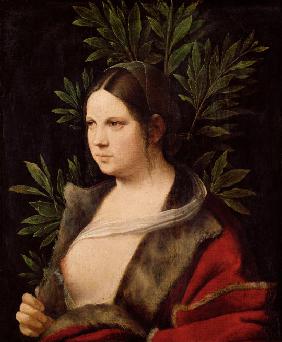 Bildnis einer jungen Frau ("Laura") 1506