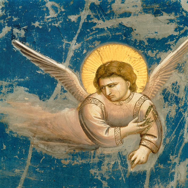 Giotto, Flucht nach Aegypten, Engel von Giotto (di Bondone)