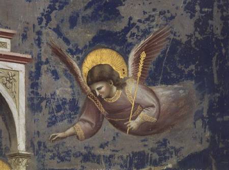 Angel, from the Presentation of Christ in the Temple von Giotto (di Bondone)